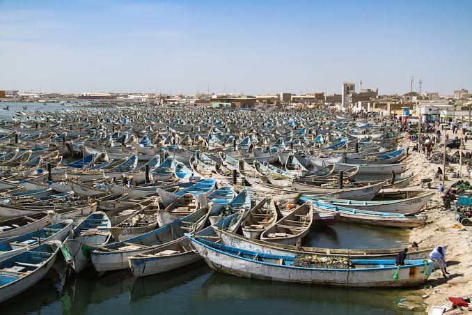 تقييم دولي لتجديد اعتماد نظام التفتيش الصحي بقطاع الصيد في نواذيبو