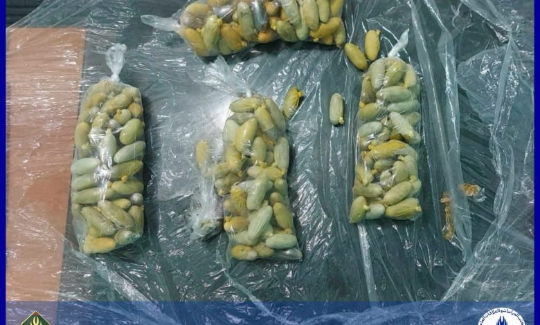 توقيف أجنبي وضبط أكثر من كيلوغرام من المخدرات في نواذيبو