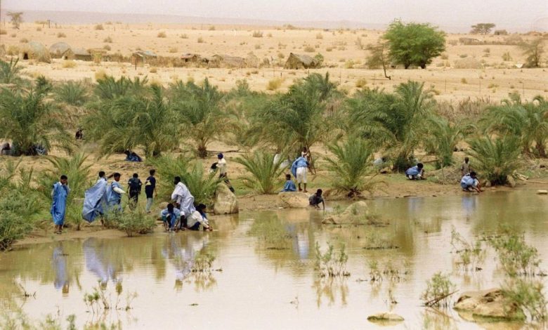 الأرصاد: أمطار مرتقبة وارتفاع شديد في الحرارة شمال البلاد