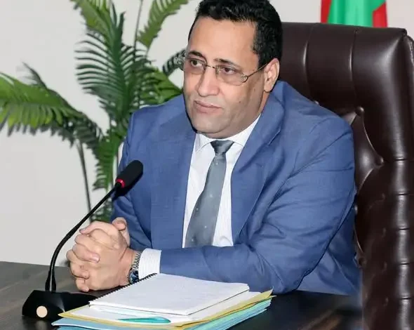 المختار ولد أجاي وثقة الرئيس… حين يتقدم العمل على الجدل