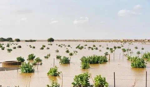 أمطار متفاوتة تسجل في خمس ولايات موريتانية