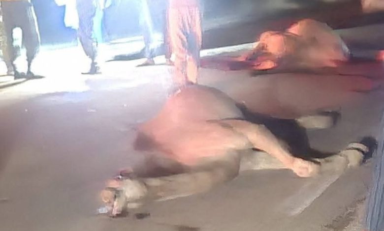 حادث سير بالحوض الغربي يخلف وفاة وإصابات خطرة
