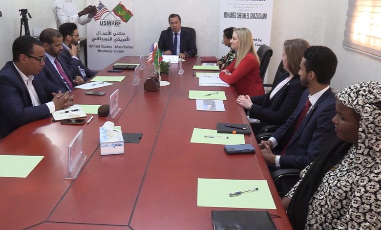 بعثة اقتصادية أمريكية تبحث فرص الاستثمار في موريتانيا