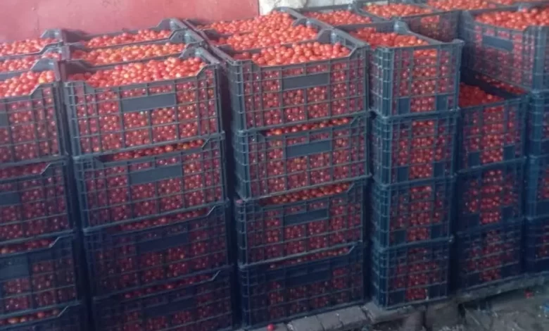 وزارة التجارة تتدخل لخفض أسعار الطماطم في نواكشوط